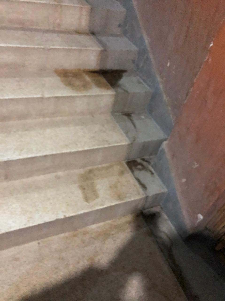 2 - رسبريس - Respress