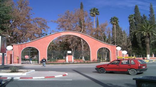 انتفاضة وجدة، محطة وضاءة في طريق الكفاح نحو الاستقلال..