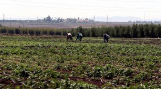 قضية منطقة “العرجة”.. هذا بيان تنسيقية سكان فيجيج ..