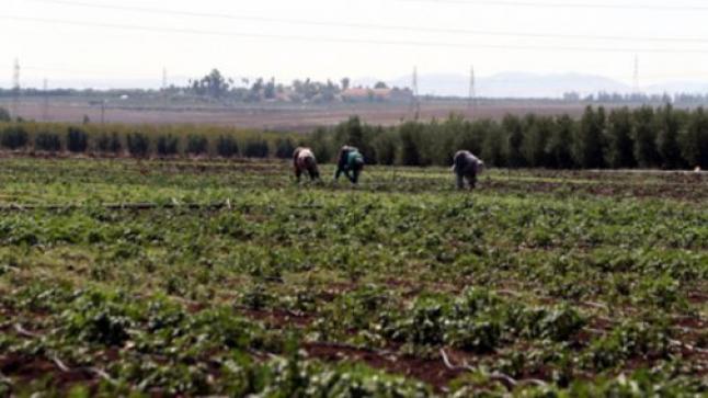 قضية منطقة “العرجة”.. هذا بيان تنسيقية سكان فيجيج ..