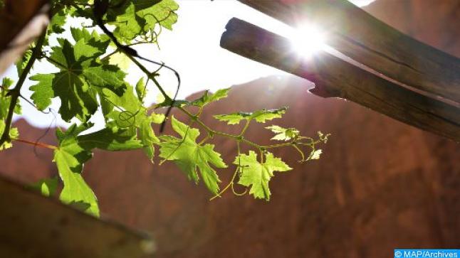 خريف ساخن بمستوى دراجة حرارة تتجاوز معدلها الموسمي المعتاد..