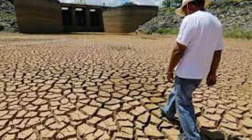 الجفاف يلتهم الأخضر واليابس.. “نداء استغاثة” من أكبر واحة في المغرب