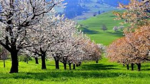 ما يميز أحوال الطقس اليوم السبت في مختلف ربوع المملكة ..