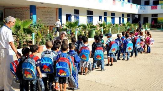 برنامج ” تيسير ”.. الشروع في التحويل المالي الأول برسم الموسم الدراسي الحالي ابتداء من هذا التاريخ..