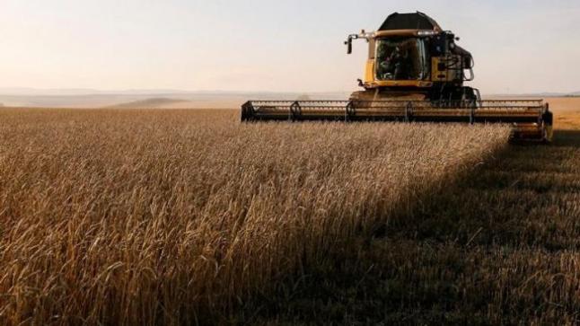 نيويورك تايمز: الحرب الأوكرانية- الروسية تهدد واردات القمح للدول الفقيرة وقد تؤدي لمجاعات وجوع الملايين..