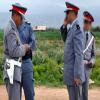 حفيدة تقتل جدتها بأداة فلاحية..