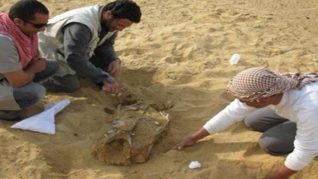 اعتقال 3 شخاص أثناء البحث عن كنز داخل غابة ضمنهم مدير وكالة بنكية..