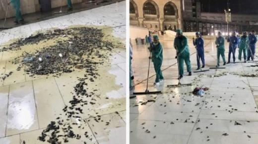 هجوم الصراصير على الحرم المكي ..السلطات السعودية تتعبأ للقضاء عليه