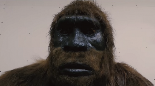 رصد آثار “كائن عملاق ومرعب” يثير فزع المتتبعين!