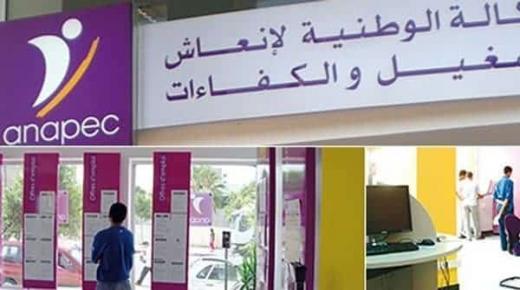 الأنابيك تطلق برنامجا لدعم التشغيل القطاعي في المغرب..