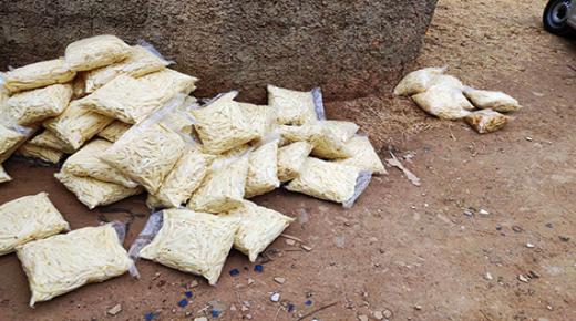 حجز أطنان من “الفريت” الفاسد بمصنع سري كانت موجهة للإستهلاك