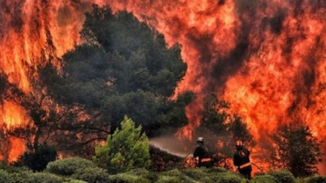 لهذه الأسباب.. حرائق الأمازون تدعو للقلق لأنها ستؤثر على البشرية جمعاء