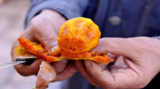 قصة قصيرة… *الهَنديَّة… للمبدع ياسين لمقدم