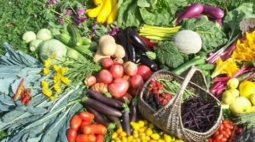 زراعة “البيو” في المغرب متواضعة ولا ترقى إلى طموحات المهتمين