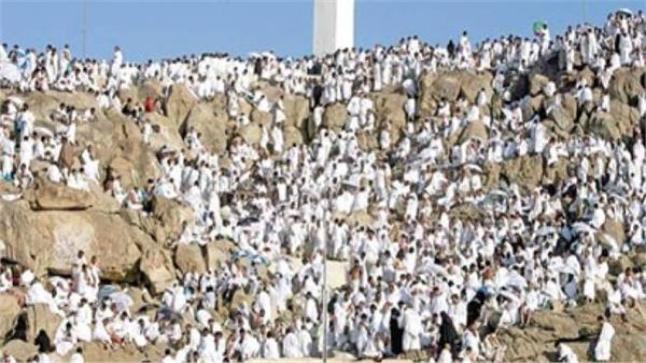 فتوى جديدة من المجلس العلمي بشأن مناسك الحج