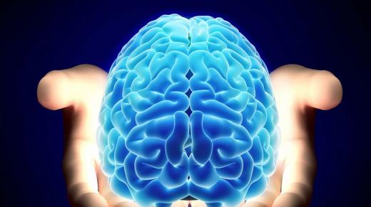 دراسة تكشف.. هكذا يؤثر الإجهاد في الدماغ..