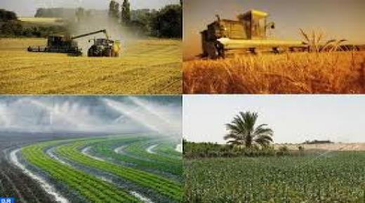 الاستراتيجية الفلاحية الجديدة في صلب أولويات مشروع قانون المالية لسنة 2021..