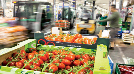 أزيد من 39 مليار درهم قيمة صادرات المنتجات الغذائية الفلاحية ..