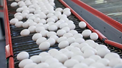 إفطار مثالي لمرضى السكري..