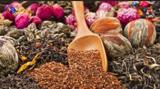 المغرب يحتل المرتبة الثانية عالميا بحوالي 4200 صنف من النباتات الطبية والعطرية..