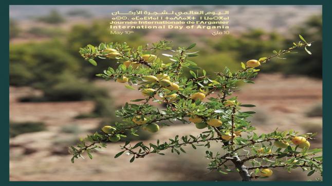 شجرة الأركان عنوان التفرد البيئي والحضاري والثقافي المغربي على الصعيد الدولي..