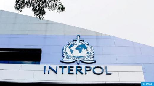 الأنتربول يقود عمليتين لمكافحة المخدرات في إفريقيا والشرق الأوسط بالتنسيق مع 40 بلدا منها المغرب..