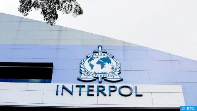 الأنتربول يقود عمليتين لمكافحة المخدرات في إفريقيا والشرق الأوسط بالتنسيق مع 40 بلدا منها المغرب..