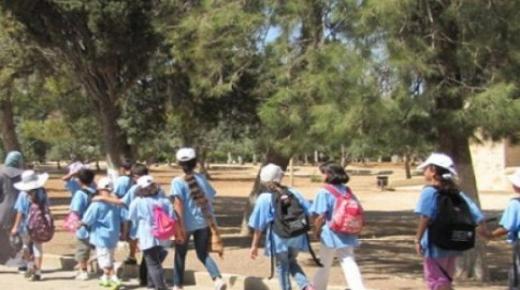 شريط صوتي لمؤطر بمخيم صيفي يهدد أطفالا بالاغتصاب يهزّ مدينة فاس