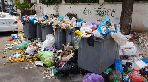 من الحقول إلى الموائد..ملايير الأطنان من الطعام ينتهي بها المطاف في القمامة !..