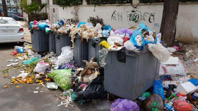 من الحقول إلى الموائد..ملايير الأطنان من الطعام ينتهي بها المطاف في القمامة !..