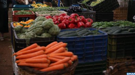 أداء جيد لقطاع تصدير المنتجات الغذائية الفلاحية خلال 2021..