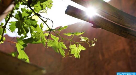 موجة حر من الجمعة إلى الأحد بعدد من أقاليم المملكة (نشرة إنذارية)