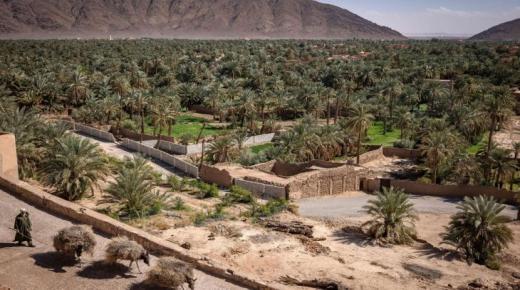 بوتخيل.. حارس المياه في أقدم واحات المغرب..
