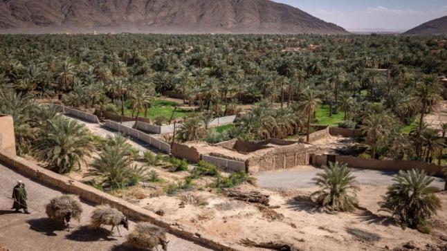بوتخيل.. حارس المياه في أقدم واحات المغرب..