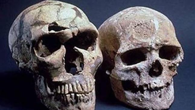 العثور على جمجمتين يستنفر السلطات الأمنية ￼