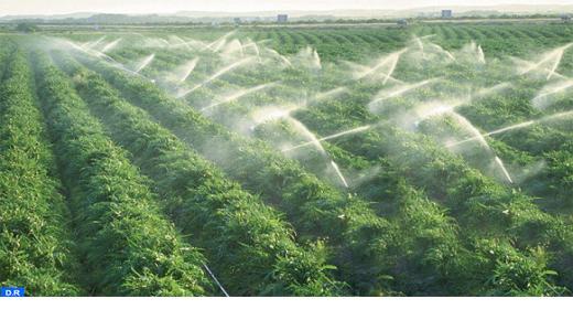 برنامج الري للموسم الفلاحي الحالي يتم في ظروف ” عادية ” رغم تأخر الأمطار￼