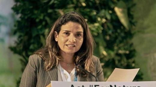 ليلى بنعلي: الشراكات مع البلدان الإفريقية المطلة على الحوض الأطلسي ستعرف خلال السنوات المقبلة تطورا شاملا في المجال الطاقي