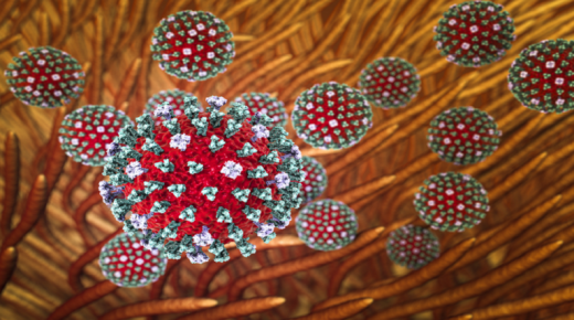 مخاوف من “وباء جديد” مع تحذير من سلالة إنفلونزا الطيور قد تكون أسوأ 100 مرة من “كوفيد￼￼￼￼”!