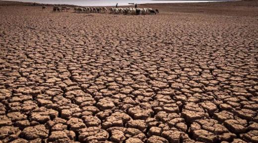 2022 الأكثر حرارة في المغرب منذ أربعين عاما..