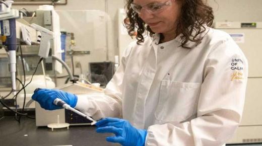 علماء يفكون لغز الكروموسوم “واي” المحدد لجنس المواليد