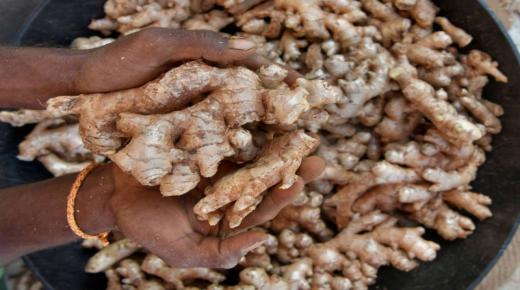 المكملات الغذائية المشتقة من الزنجبيل تعالج أمراض المناعة الذاتية￼