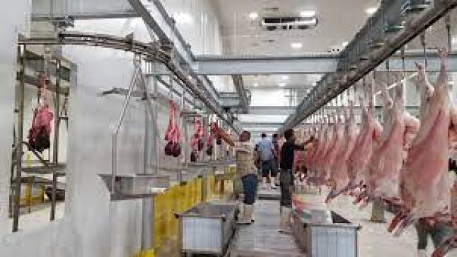 توحيد أختام التأشير على اللحوم بالمجازر يثير الجدل￼