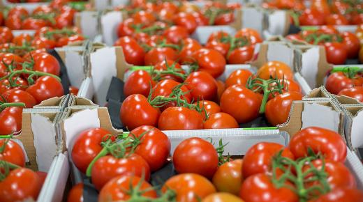 الفواكه والخضر الطازجة: المغرب لا يزال المورد الأول لإسبانيا..