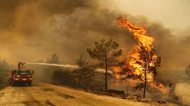 ضمنها أقاليم بجهة الشرق..تحذير رسمي من خطر حرائق الغابات خلال الأيام المقبلة..