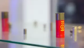 الأمن يضبط 17 خرطوشة أثناء هدم كوخ