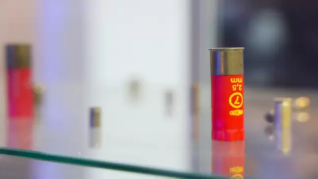 الأمن يضبط 17 خرطوشة أثناء هدم كوخ