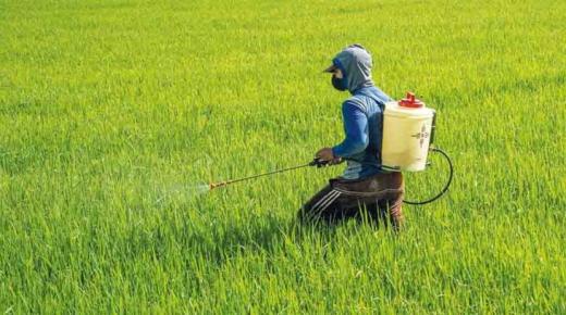 علماء: 22 مبيداً حشرياً يسرع تطور سرطان البروستاتا..