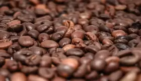 ميلاد الجامعة الوطنية لتصنيع وتوزيع القهوة
