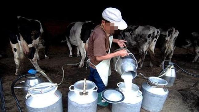 إصابات بداء السل توجه أصابع الاتهام إلى “محلبات”..