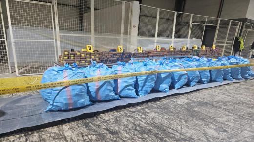 إحباط تهريب مخدرات على متن شاحنة للنقل الدولي